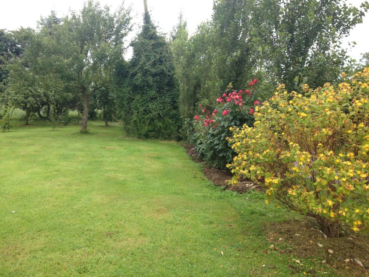 לינה וארוחת בוקר Aghalee Lisieux House On Lough Neagh מראה חיצוני תמונה