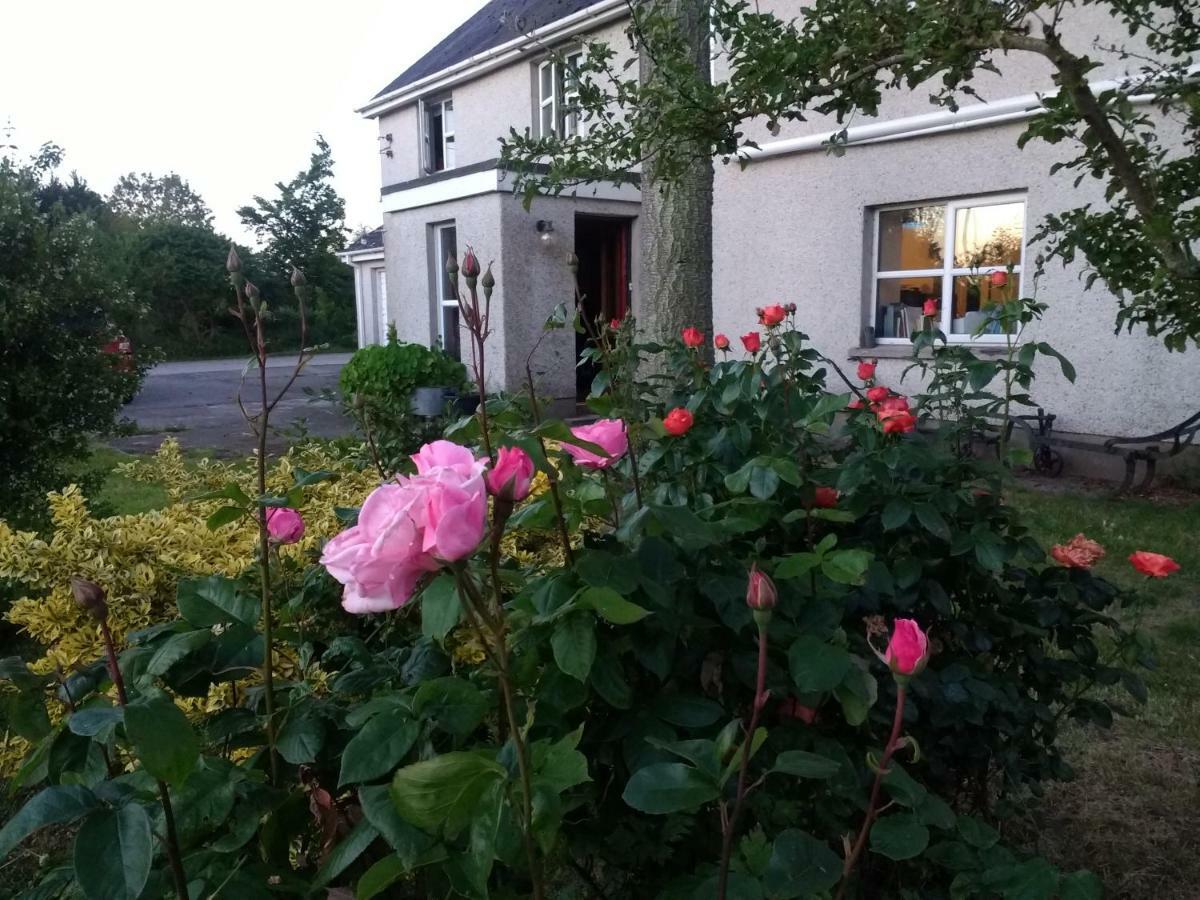 לינה וארוחת בוקר Aghalee Lisieux House On Lough Neagh מראה חיצוני תמונה